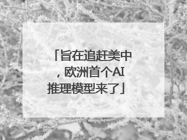 旨在追赶美中，欧洲首个AI推理模型来了