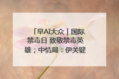 早AI大众｜国际禁毒日 致敬禁毒英雄；中情局：伊关键核设施被摧毁