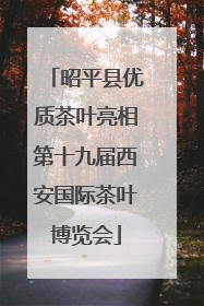 昭平县优质茶叶亮相第十九届西安国际茶叶博览会