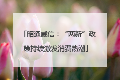 昭通威信：“两新”政策持续激发消费热潮