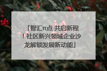 智汇π点 共启新程！社区新兴领域企业沙龙解锁发展新动能