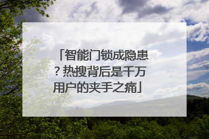 智能门锁成隐患？热搜背后是千万用户的夹手之痛