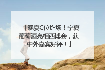 晚宴C位炸场！宁夏葡萄酒亮相西博会，获中外嘉宾好评！