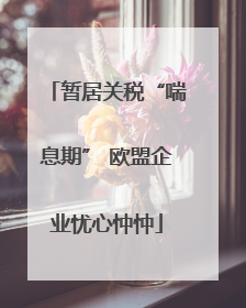 暂居关税“喘息期” 欧盟企业忧心忡忡