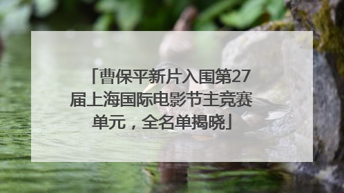 曹保平新片入围第27届上海国际电影节主竞赛单元，全名单揭晓
