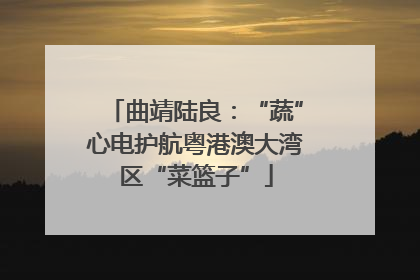 曲靖陆良：“蔬”心电护航粤港澳大湾区“菜篮子”