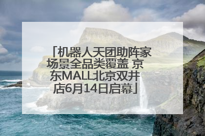 机器人天团助阵家场景全品类覆盖 京东MALL北京双井店6月14日启幕