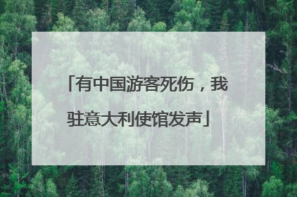 有中国游客死伤，我驻意大利使馆发声