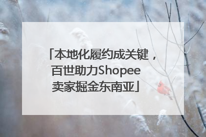 本地化履约成关键，百世助力Shopee卖家掘金东南亚