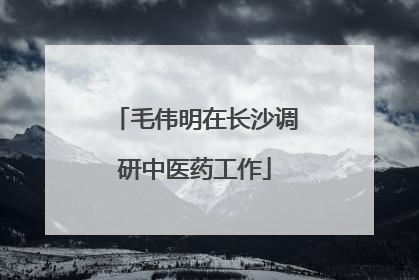 毛伟明在长沙调研中医药工作