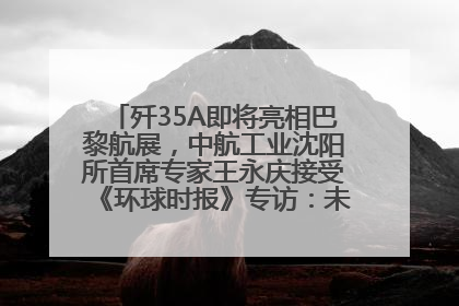 歼35A即将亮相巴黎航展，中航工业沈阳所首席专家王永庆接受《环球时报》专访：未来数量可以有很多