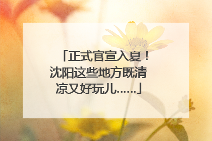 正式官宣入夏！沈阳这些地方既清凉又好玩儿……