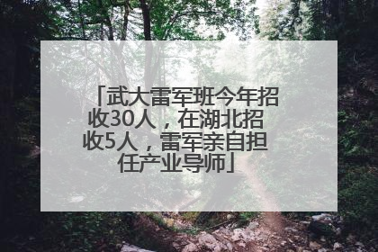 武大雷军班今年招收30人，在湖北招收5人，雷军亲自担任产业导师