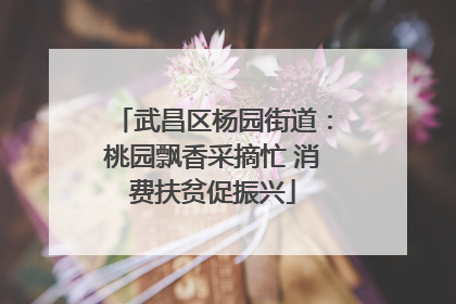 武昌区杨园街道：桃园飘香采摘忙 消费扶贫促振兴