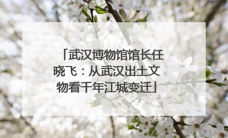 武汉博物馆馆长任晓飞：从武汉出土文物看千年江城变迁