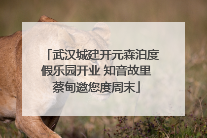 武汉城建开元森泊度假乐园开业 知音故里蔡甸邀您度周末