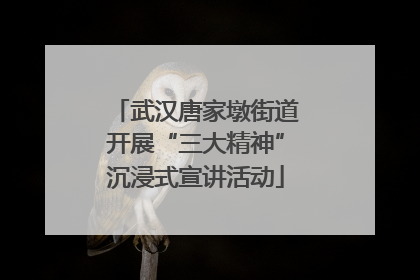 武汉唐家墩街道开展“三大精神”沉浸式宣讲活动