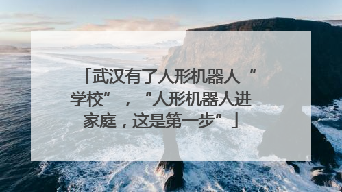 武汉有了人形机器人“学校”，“人形机器人进家庭，这是第一步”