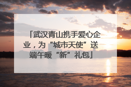 武汉青山携手爱心企业，为“城市天使”送端午暖“新”礼包