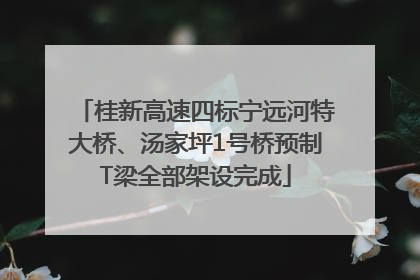 桂新高速四标宁远河特大桥、汤家坪1号桥预制T梁全部架设完成