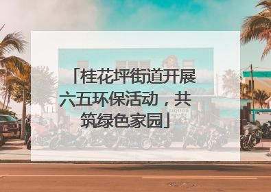 桂花坪街道开展六五环保活动，共筑绿色家园