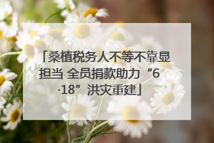 桑植税务人不等不靠显担当 全员捐款助力“6·18”洪灾重建
