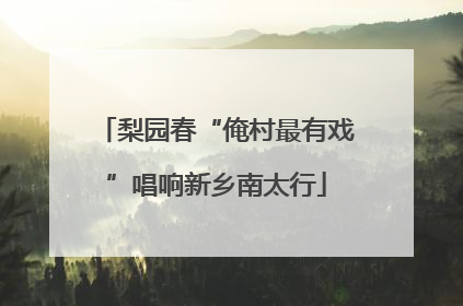 梨园春“俺村最有戏”唱响新乡南太行
