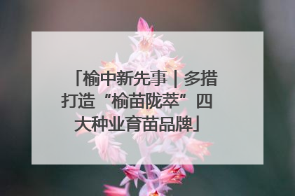 榆中新先事｜多措打造“榆苗陇萃”四大种业育苗品牌