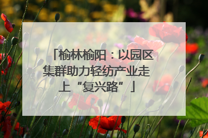 榆林榆阳：以园区集群助力轻纺产业走上“复兴路”