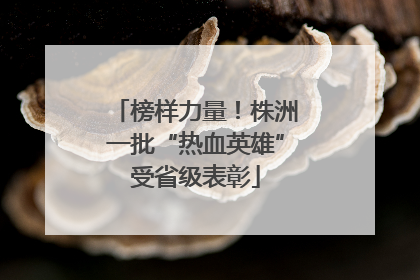 榜样力量！株洲一批“热血英雄”受省级表彰