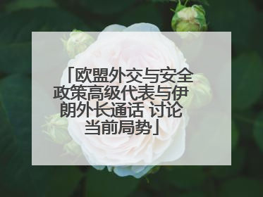欧盟外交与安全政策高级代表与伊朗外长通话 讨论当前局势