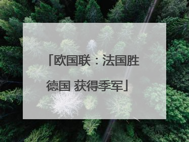 欧国联：法国胜德国 获得季军