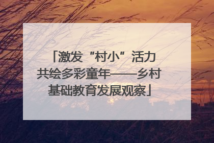 激发“村小”活力 共绘多彩童年——乡村基础教育发展观察