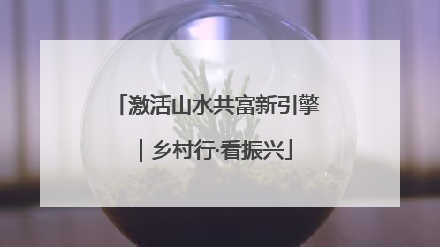激活山水共富新引擎｜乡村行·看振兴