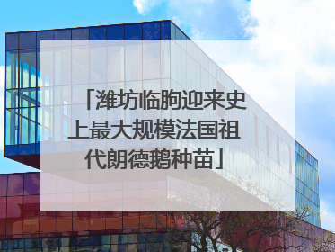 潍坊临朐迎来史上最大规模法国祖代朗德鹅种苗