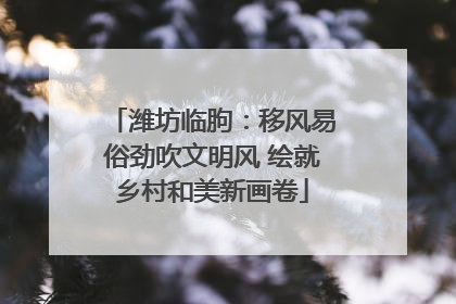 潍坊临朐：移风易俗劲吹文明风 绘就乡村和美新画卷