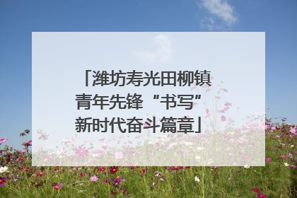 潍坊寿光田柳镇青年先锋“书写”新时代奋斗篇章