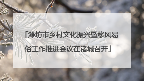 潍坊市乡村文化振兴暨移风易俗工作推进会议在诸城召开