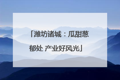 潍坊诸城：瓜甜葱郁处 产业好风光