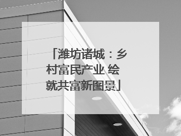 潍坊诸城：乡村富民产业 绘就共富新图景