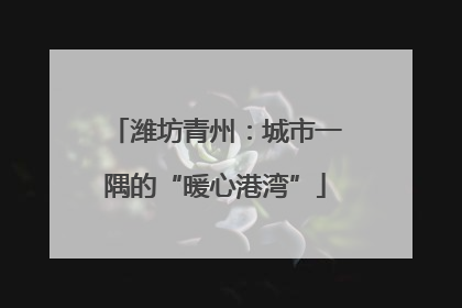 潍坊青州：城市一隅的“暖心港湾”