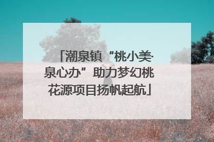 潮泉镇“桃小美·泉心办”助力梦幻桃花源项目扬帆起航