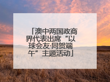 澳中两国政商界代表出席“以球会友·同贺端午”主题活动