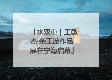 水双重｜王敏杰·余王波作品展在宁海启幕