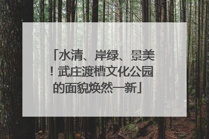水清、岸绿、景美！武庄渡槽文化公园的面貌焕然一新