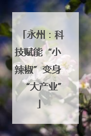 永州：科技赋能“小辣椒”变身“大产业”