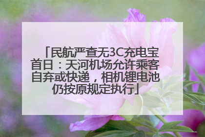 民航严查无3C充电宝首日：天河机场允许乘客自弃或快递，相机锂电池仍按原规定执行