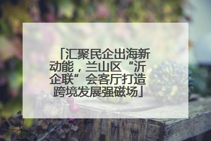 汇聚民企出海新动能，兰山区“沂企联”会客厅打造跨境发展强磁场