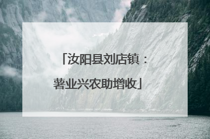 汝阳县刘店镇：薯业兴农助增收