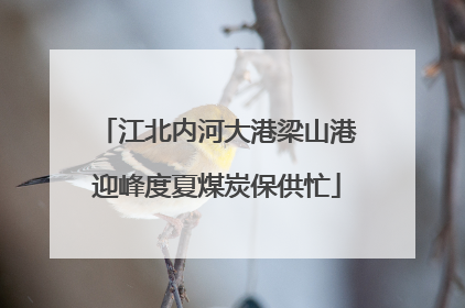 江北内河大港梁山港迎峰度夏煤炭保供忙
